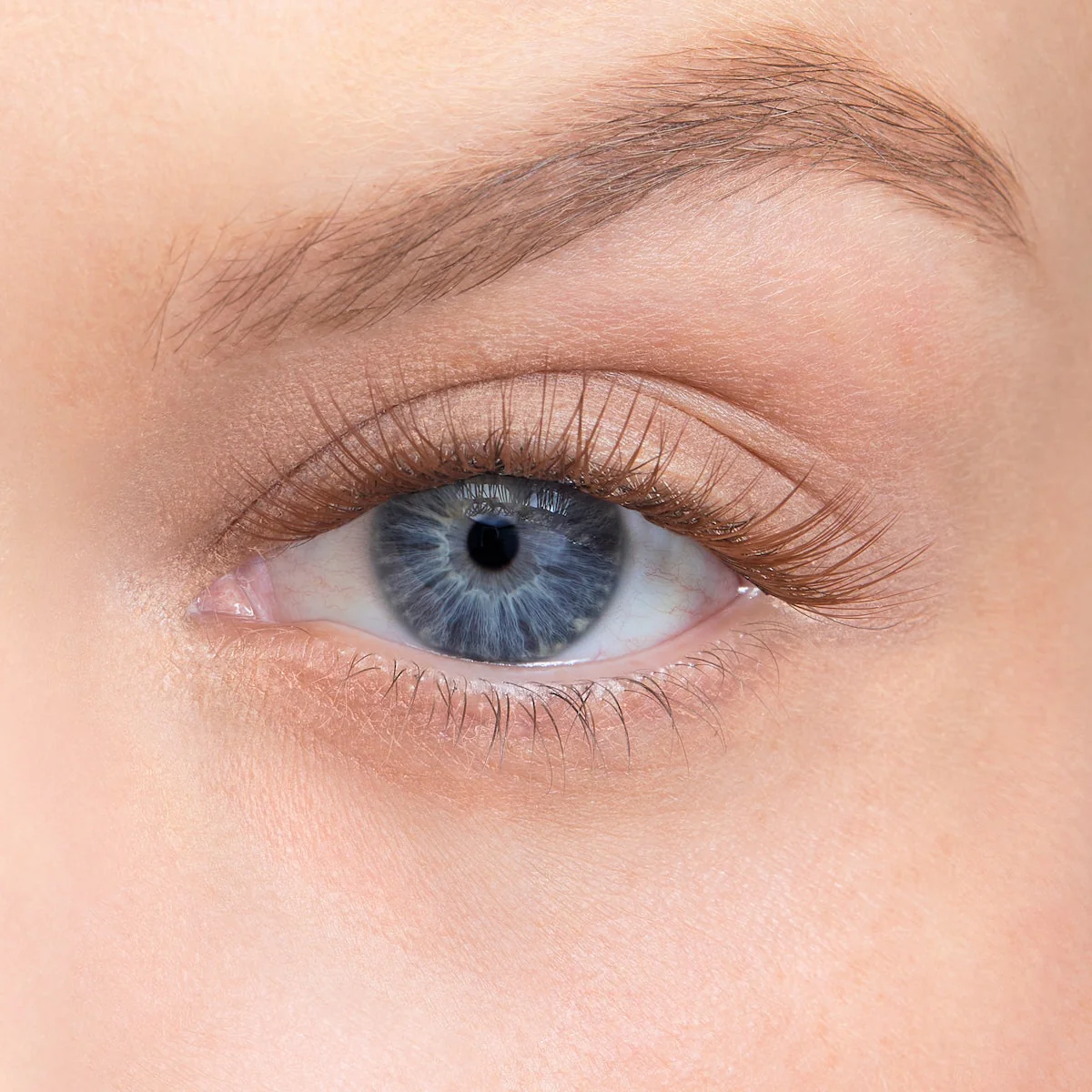 Amplify Core Gossamer® Lash - Image 95