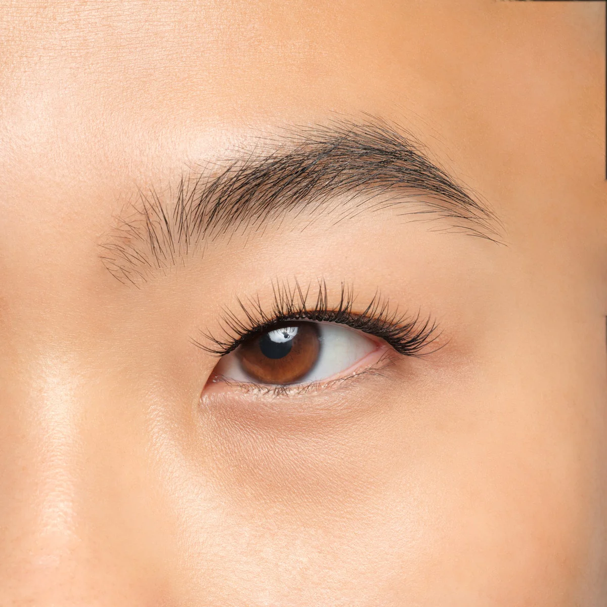 Plus+ Gossamer® Lash - Image 150